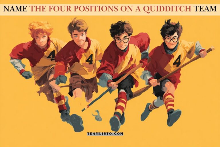 name the four positions on a quidditch team